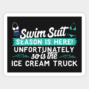 Swim Suit Season is Here and so is the Ice Cream Truck Magnet